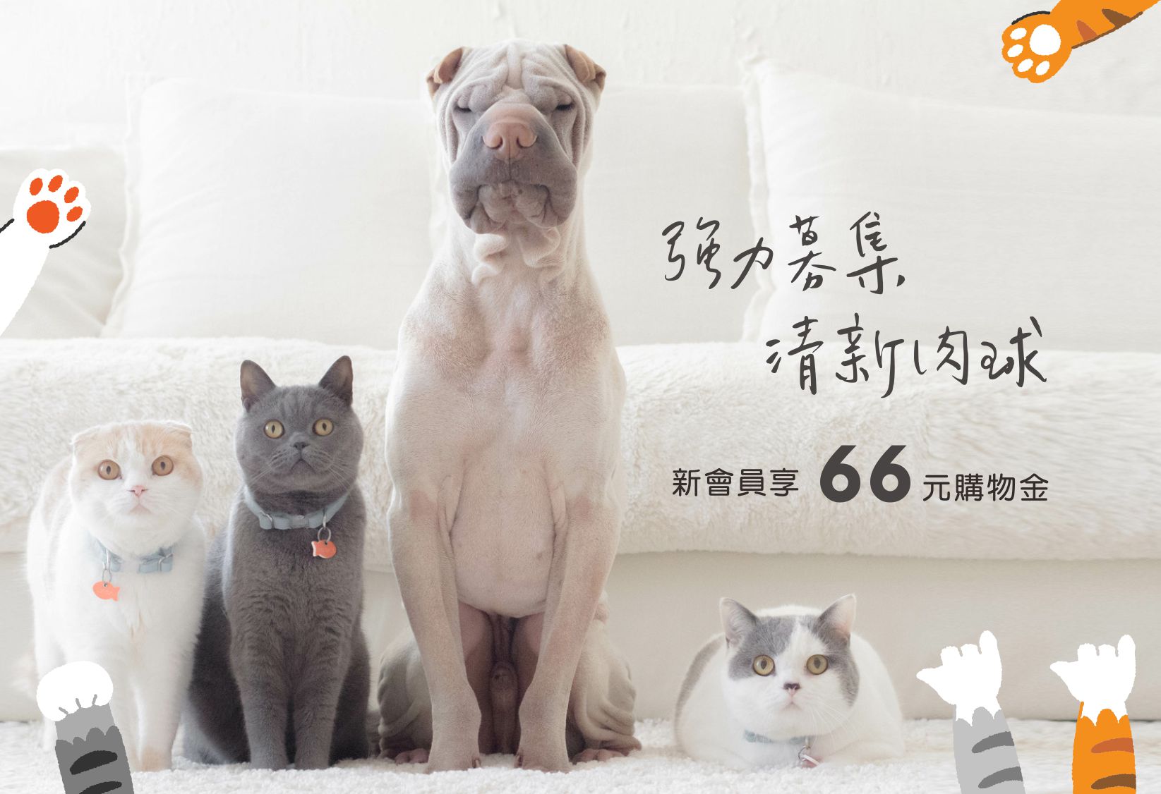 招募肉球新會員