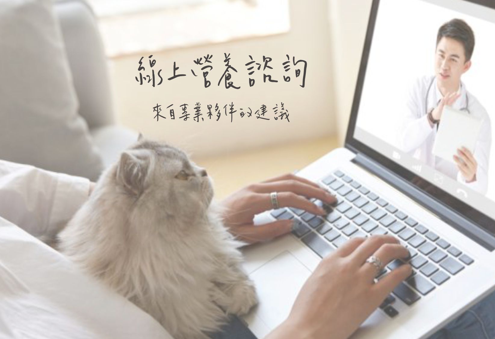 線上營養諮詢 任何毛孩 貓 狗的問題歡迎諮詢