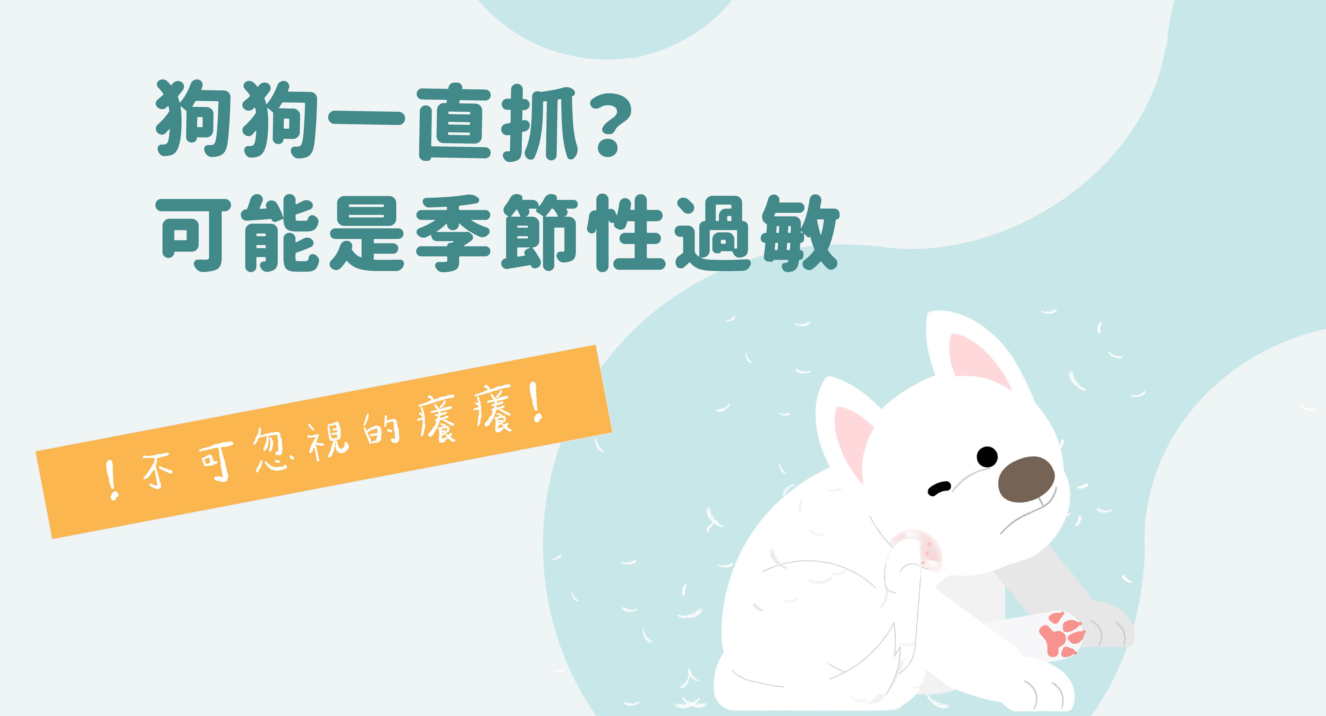 狗狗一直抓癢?可能是季節性敏感