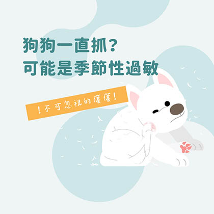 狗狗一直抓癢?可能是季節性敏感