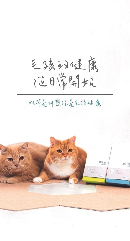 banner-pet daily care 01