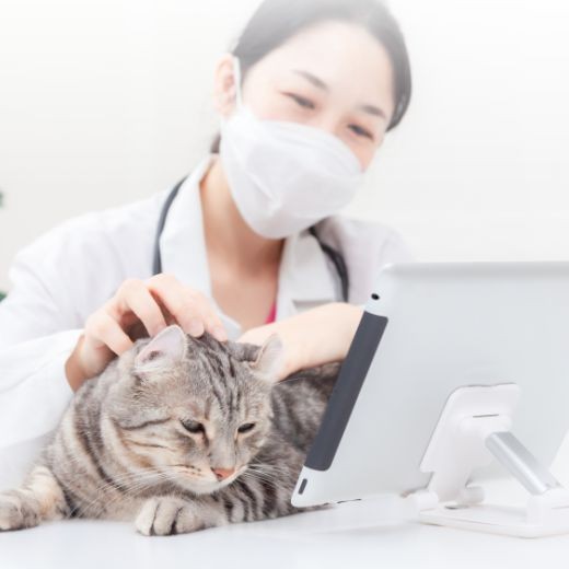 Dr. Care 紐博士專欄