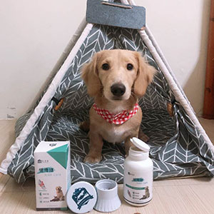 從他每天這樣奔跑及跳來跳去時動作非常快速，健骨勁真的發揮出日常保健的效用