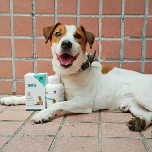 咦！好像又跳的更高了，跑步的時候更不會煞車