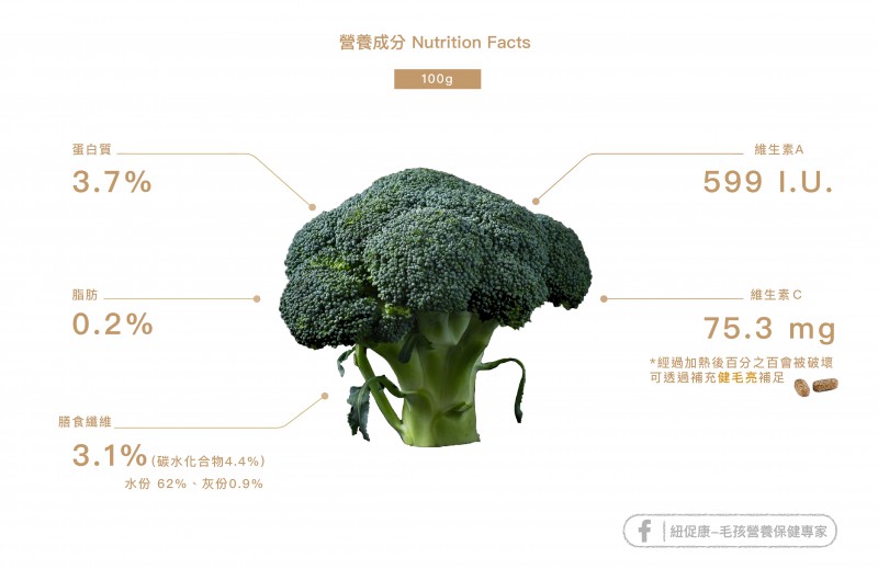 1596614975903065.jpg 02-a04.jpg