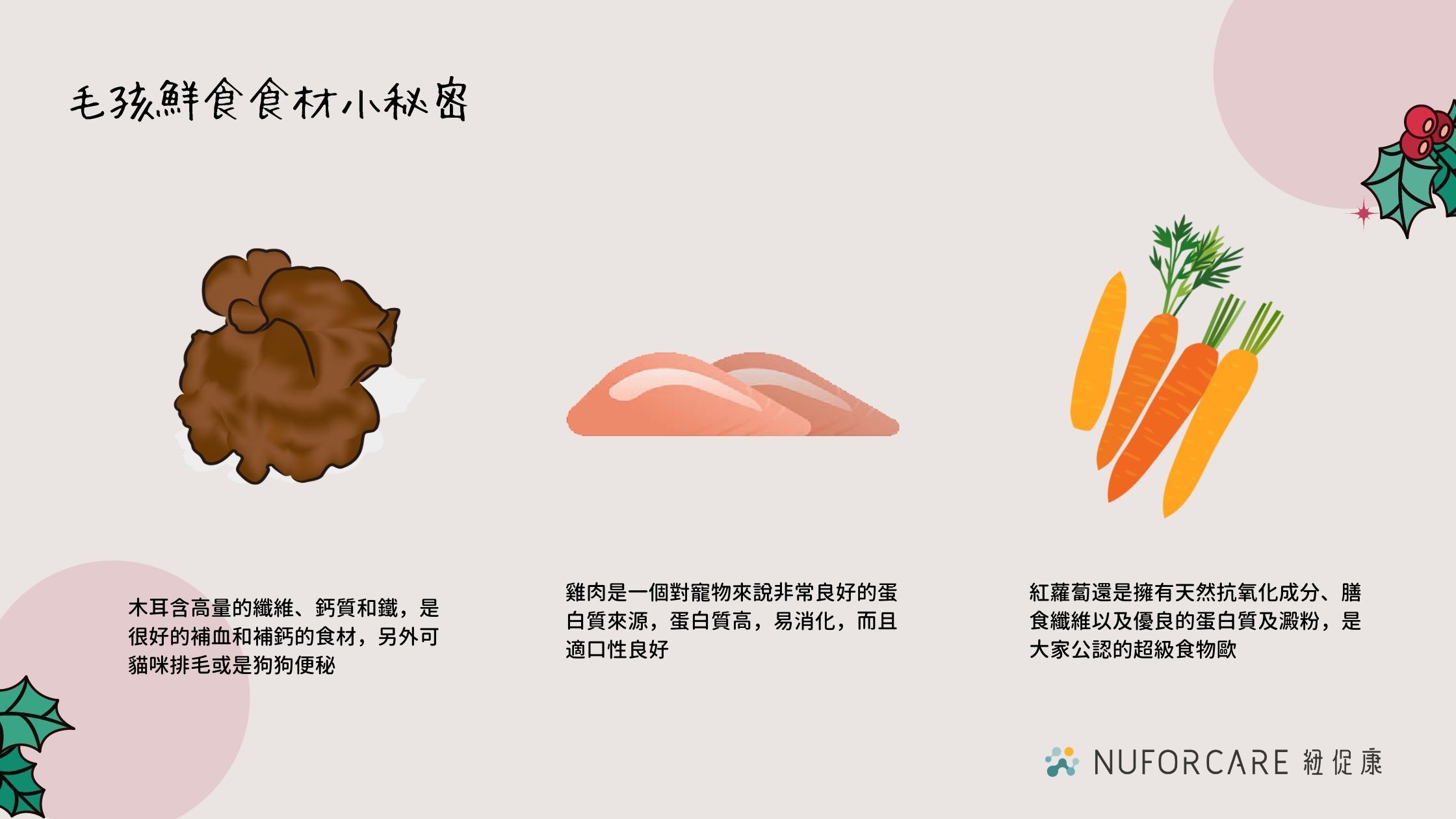 1607437458189521.jpg 寵物鮮食食材_紅蘿蔔_雞肉_木耳.jpg