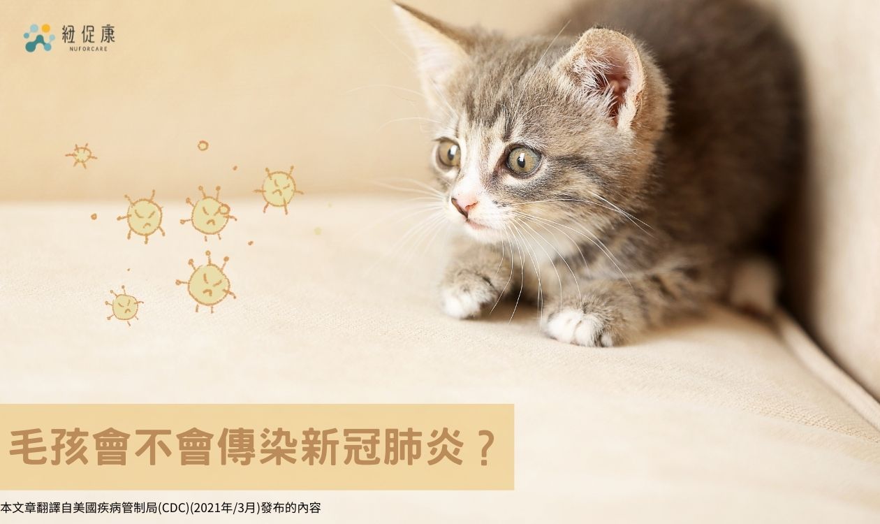 未命名設計 (4).jpg