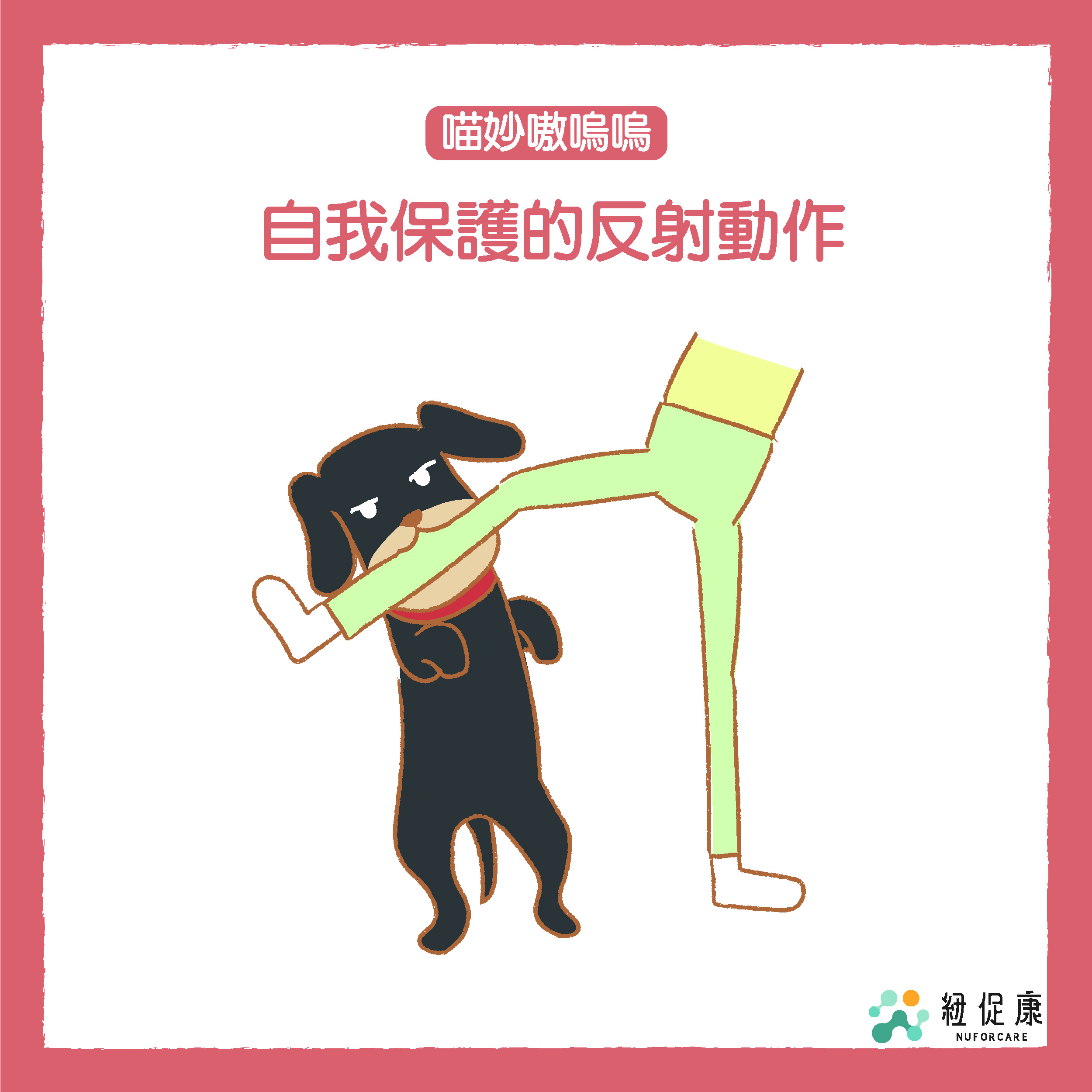 1638846352550226.jpg 2.jpg