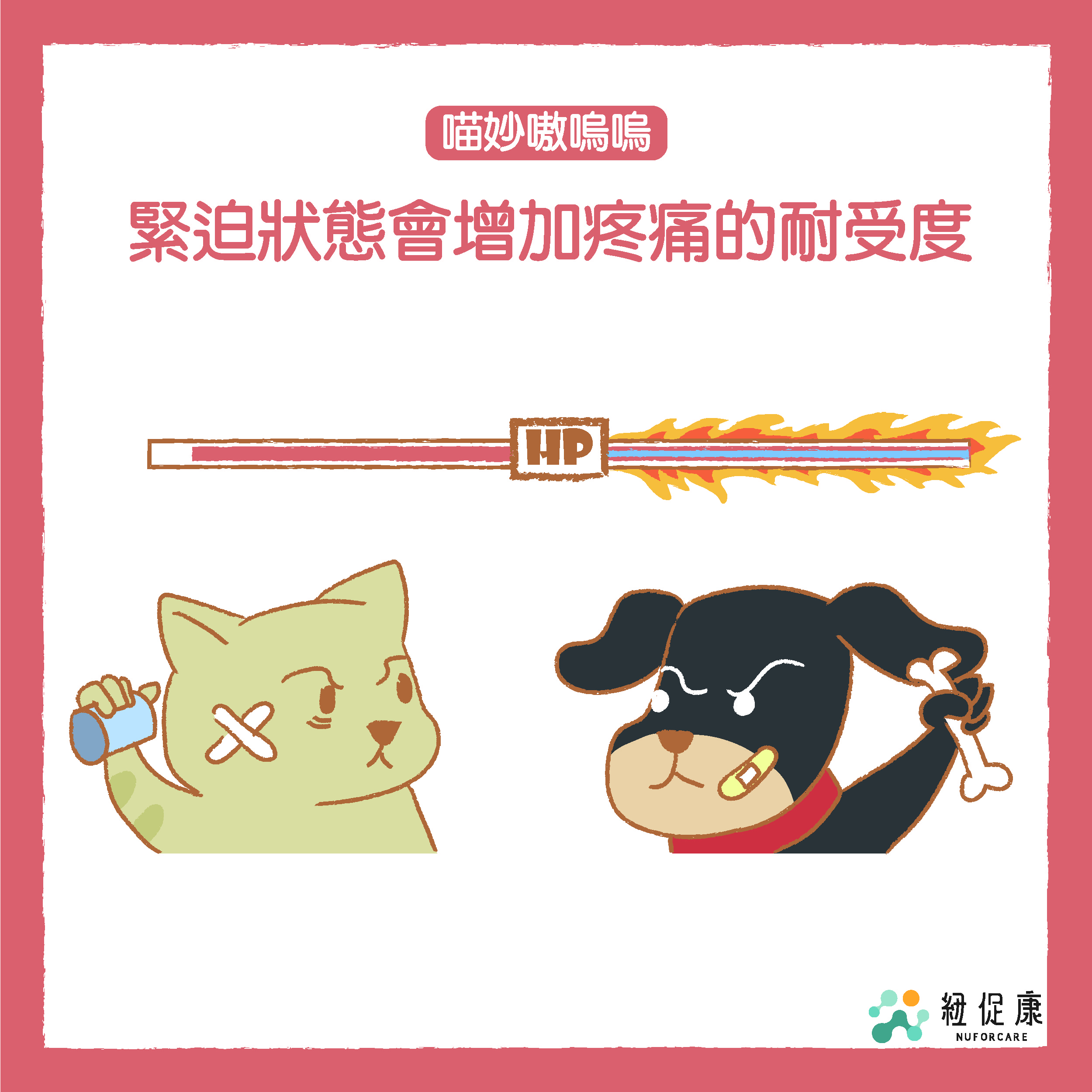 1638846365345791.jpg 3.jpg