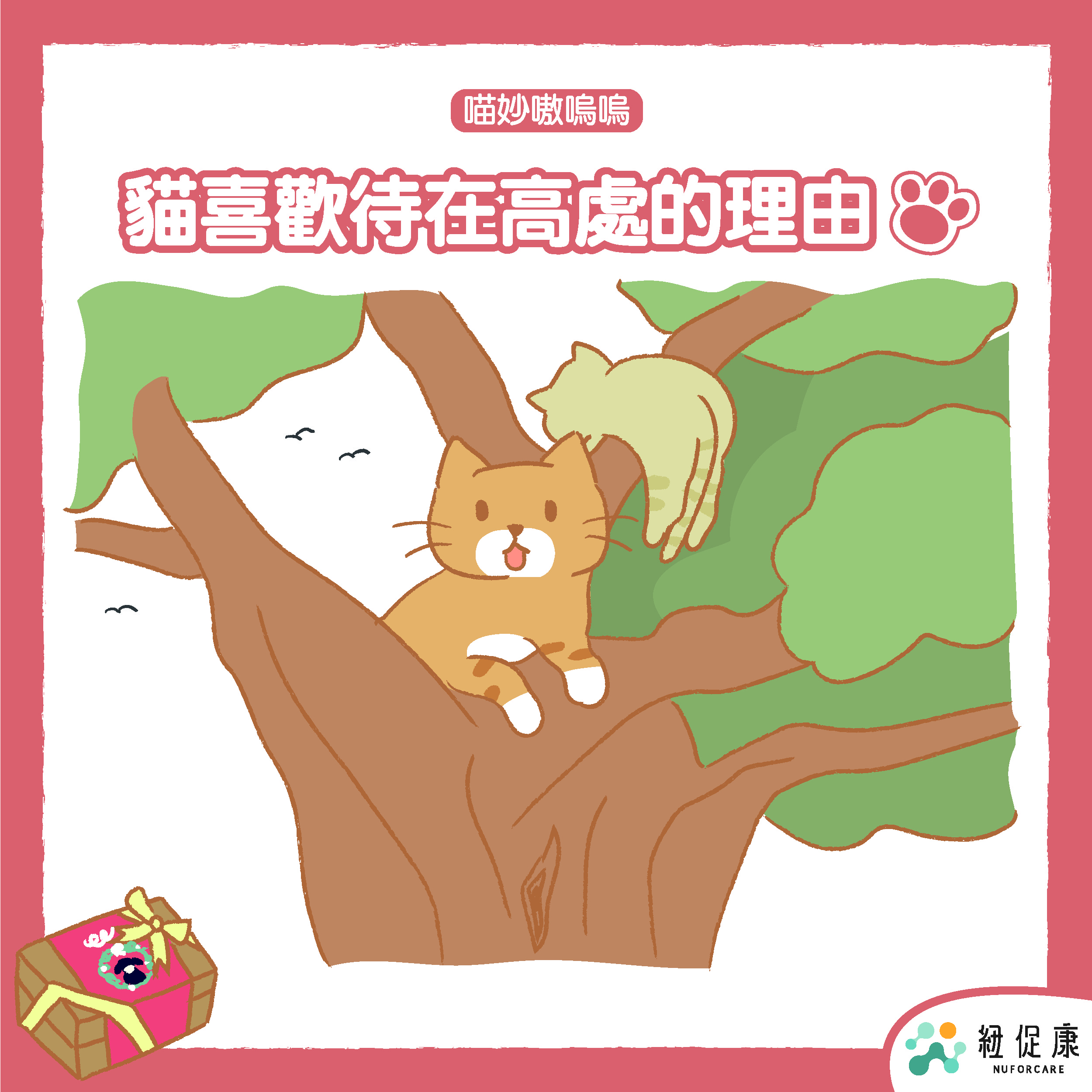 1638846555327123.jpg 1129FB首圖-貓咪站在高處的原因正_工作區域 1.jpg