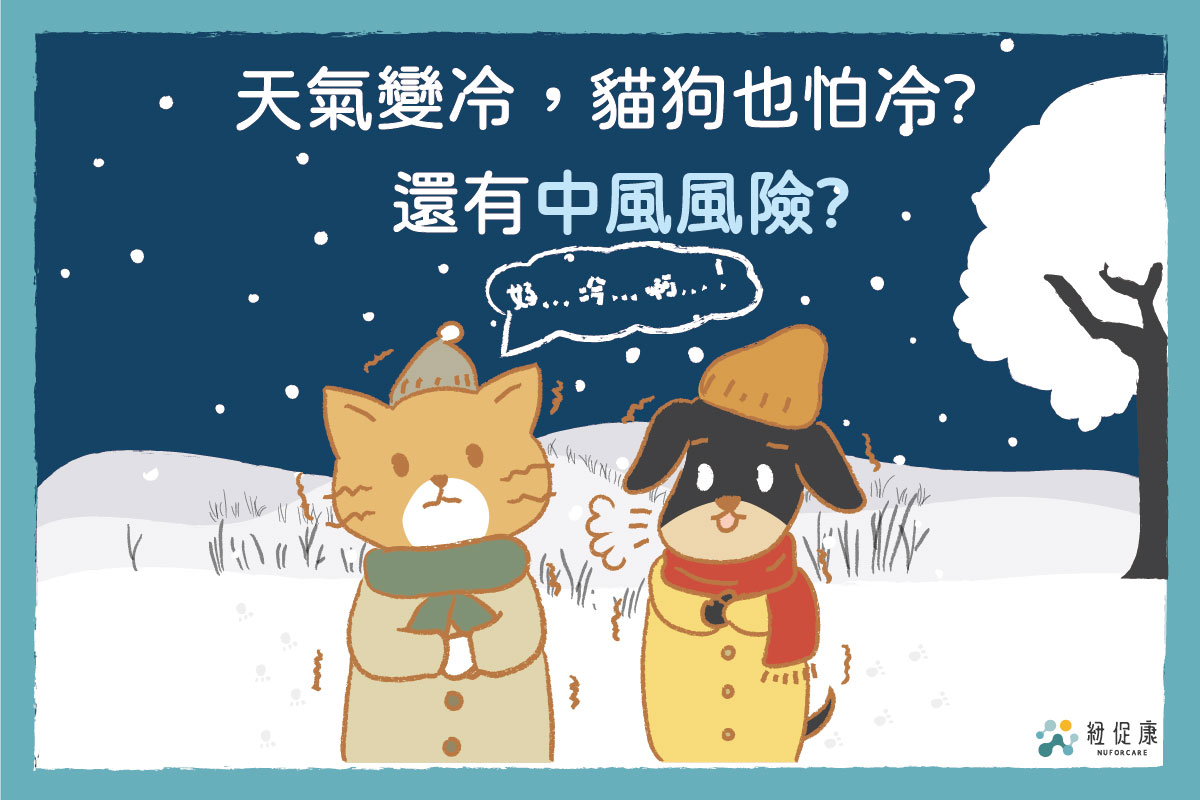 1227FB毛孩中風_工作區域 1.jpg