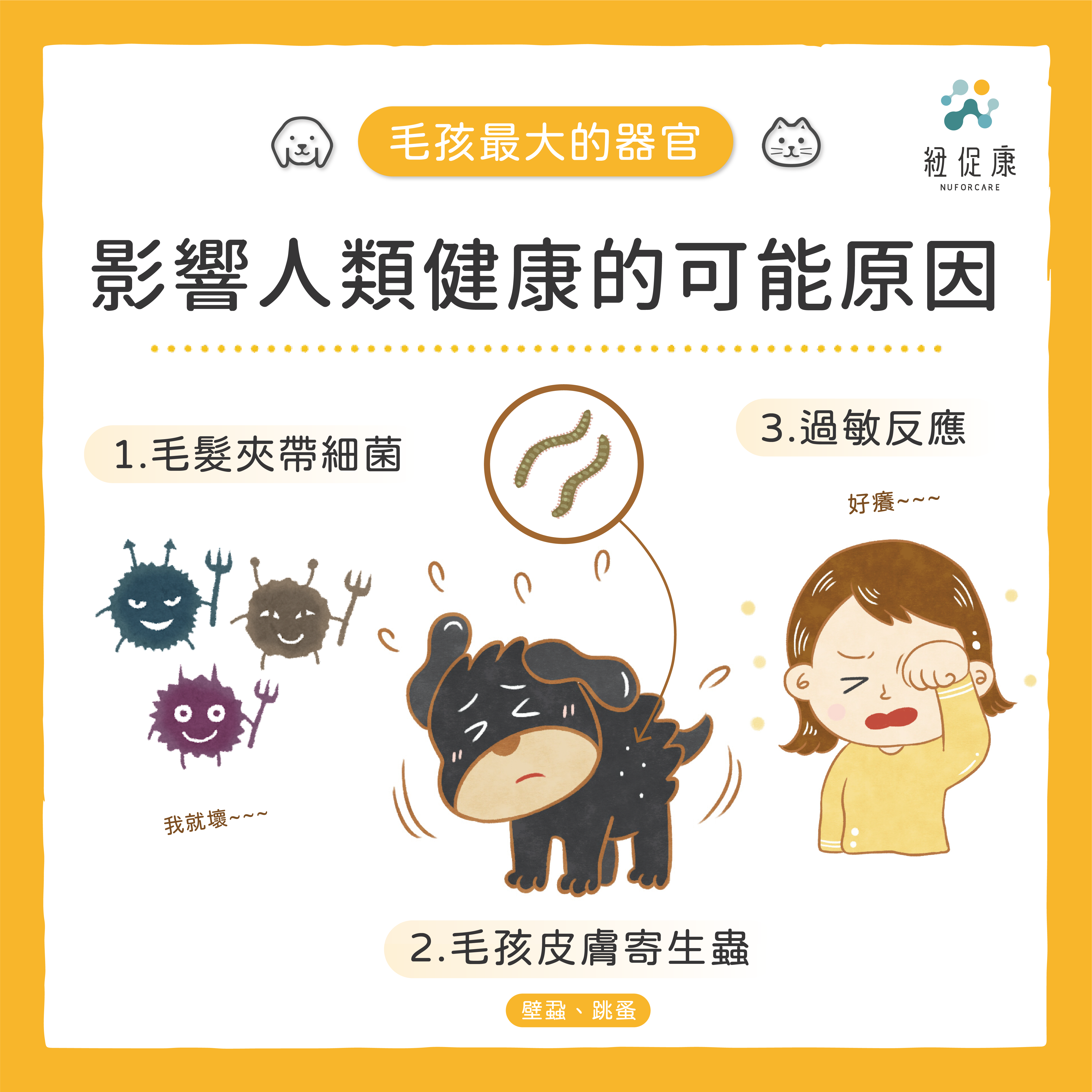 2022-06-22---毛孩最大的器官-毛對人類的影響-01.png