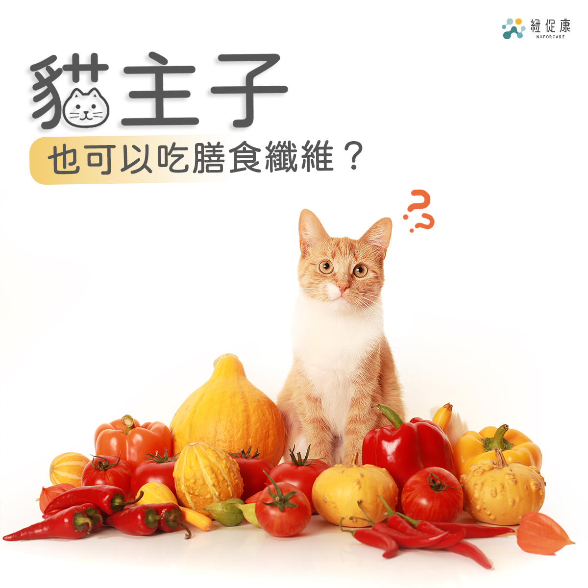 貓主子也可以吃膳食纖維？.png