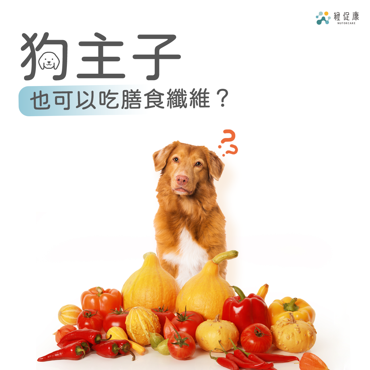1656582794607957.png 狗主子也能吃膳食纖維?.png
