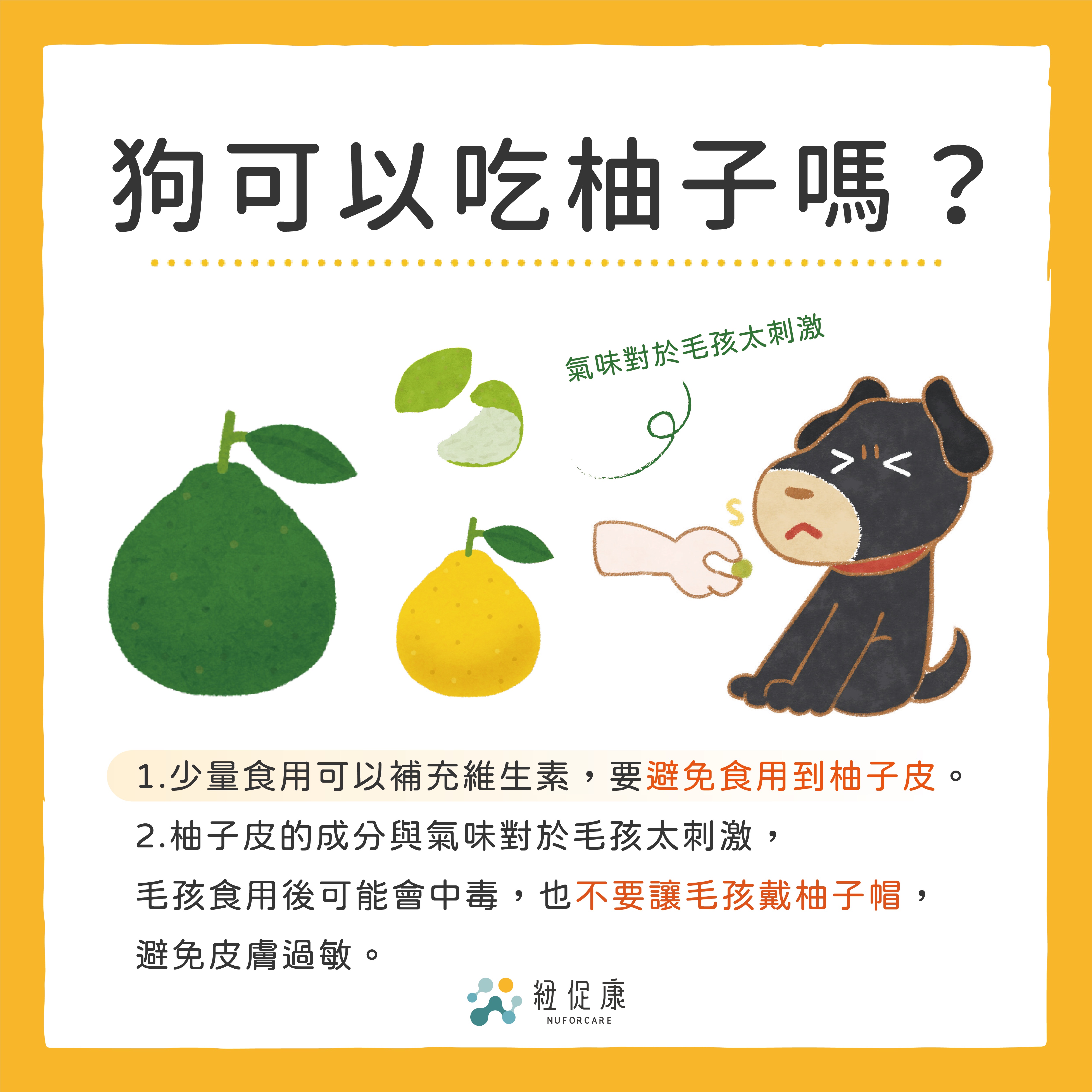 1682223016332167.jpg 中秋美食狗狗可以吃嗎?-03.jpg