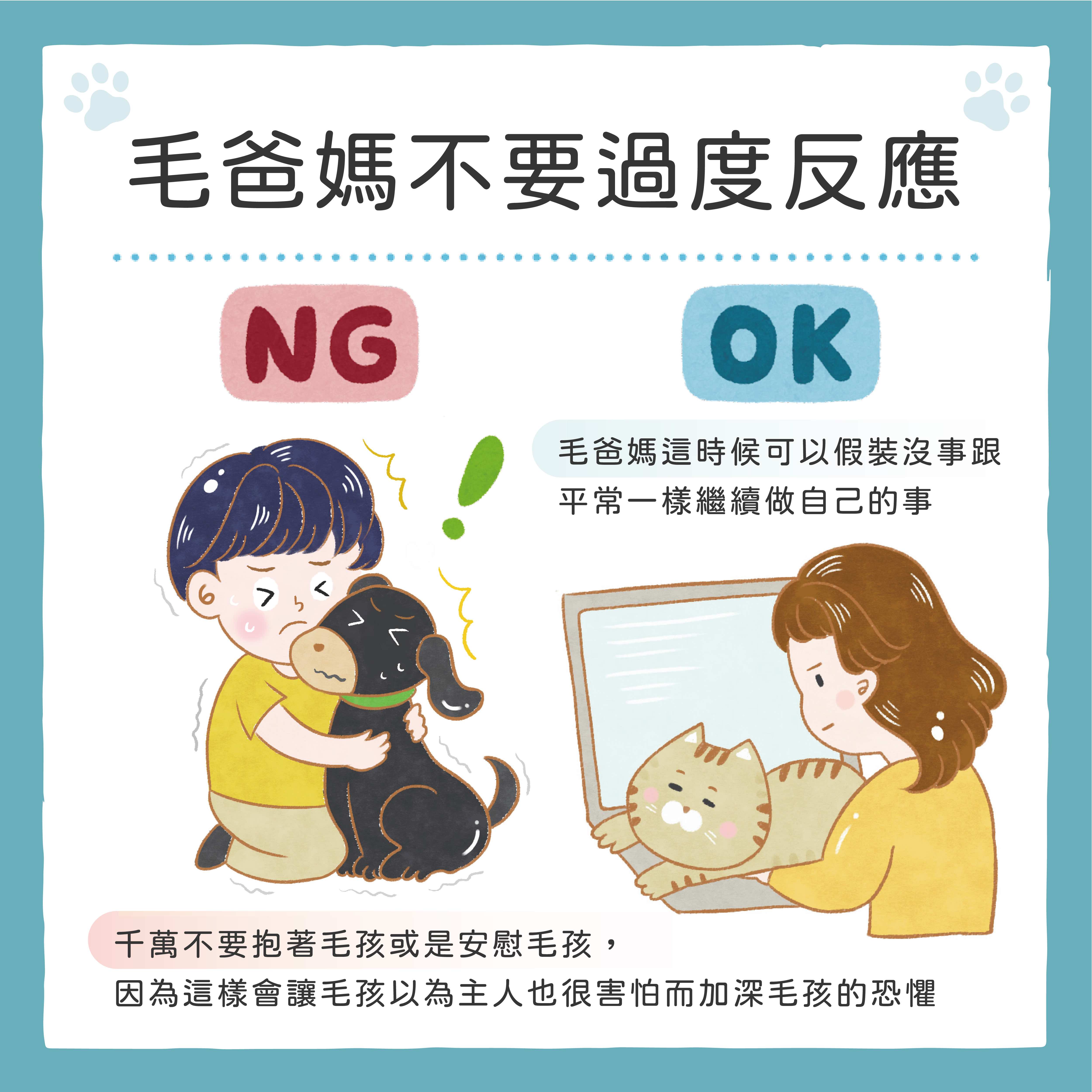 0109 減緩鞭炮聲音對毛孩的壓力-04.jpg