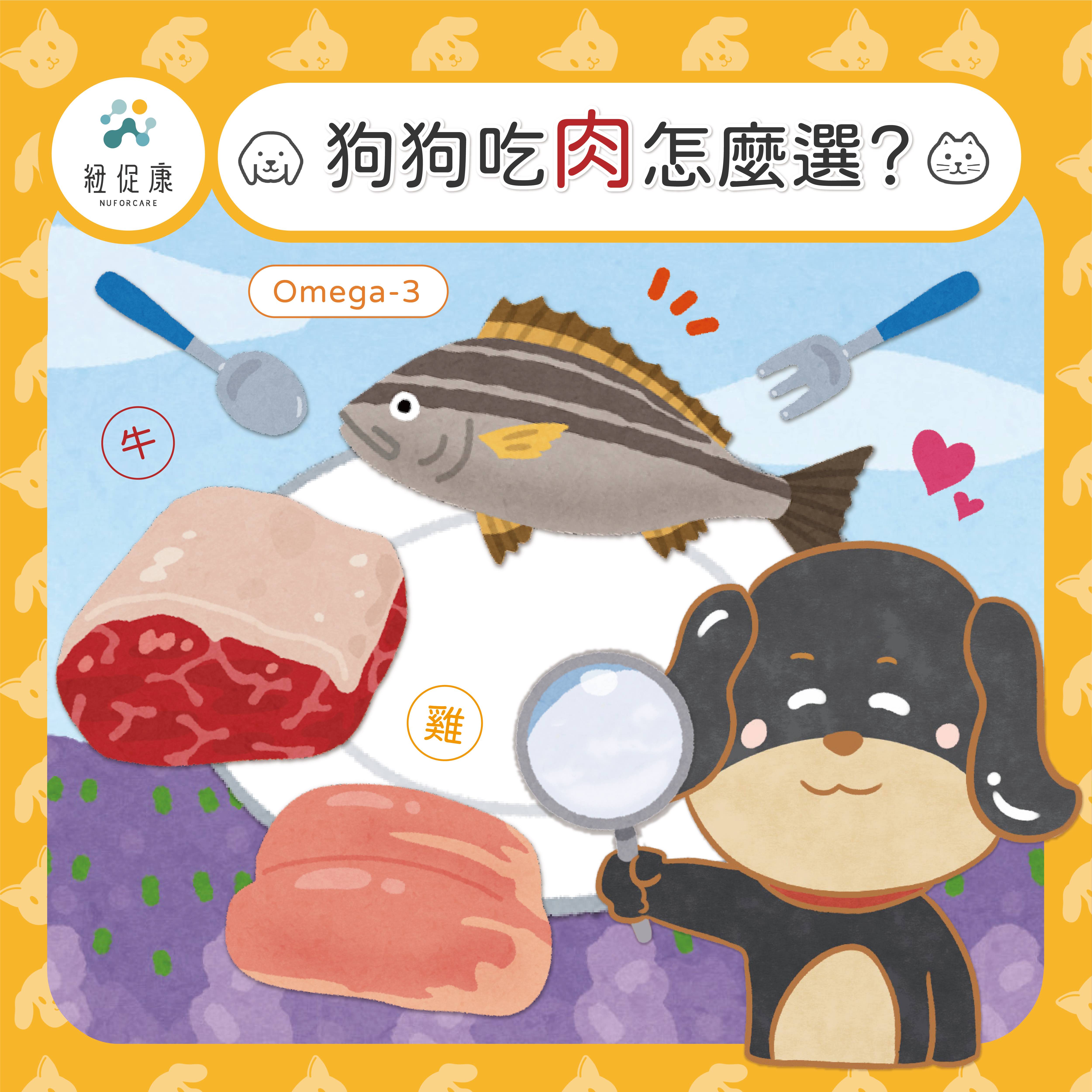 0213 狗狗吃肉怎麼選？-05.jpg
