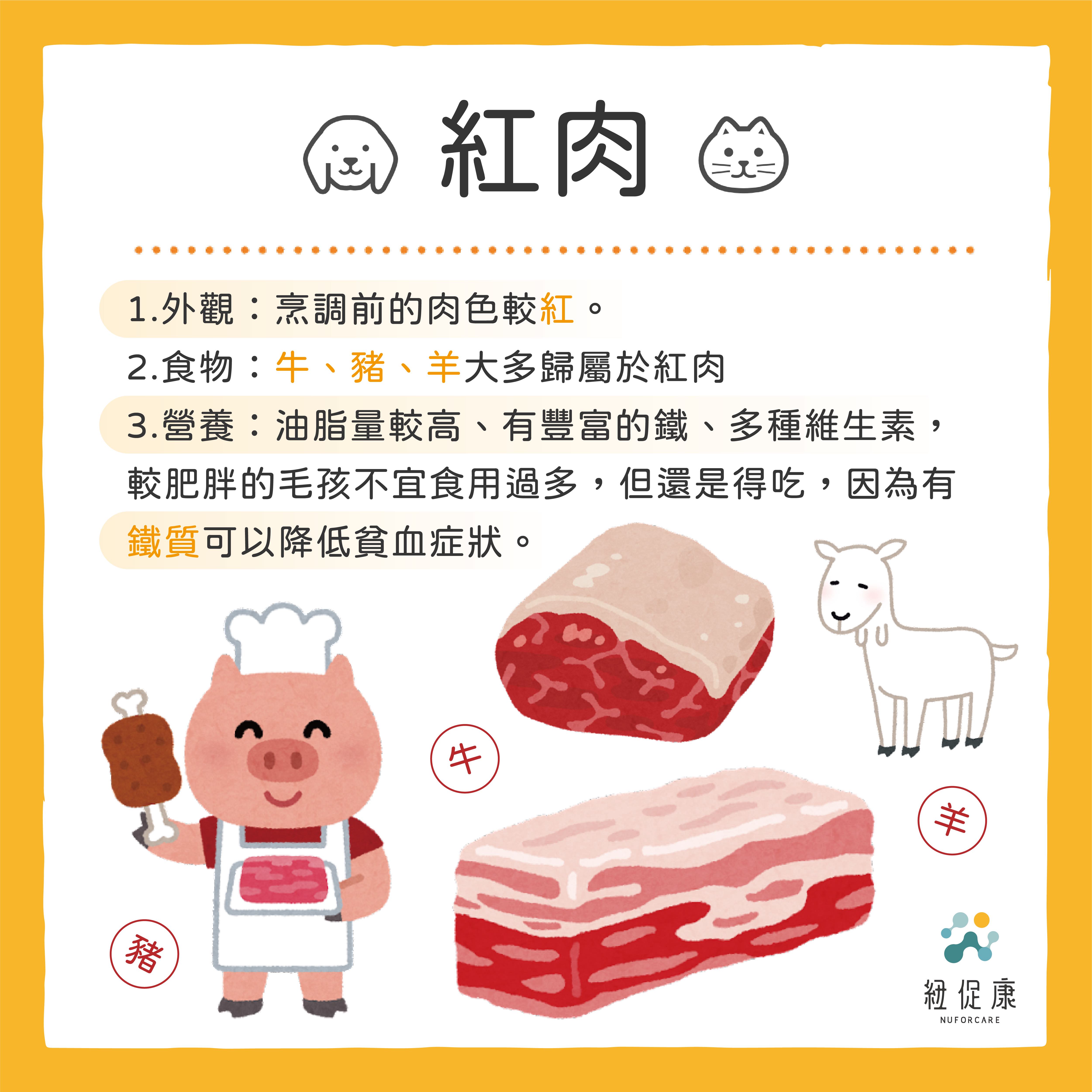 0213 狗狗吃肉怎麼選？-02.jpg