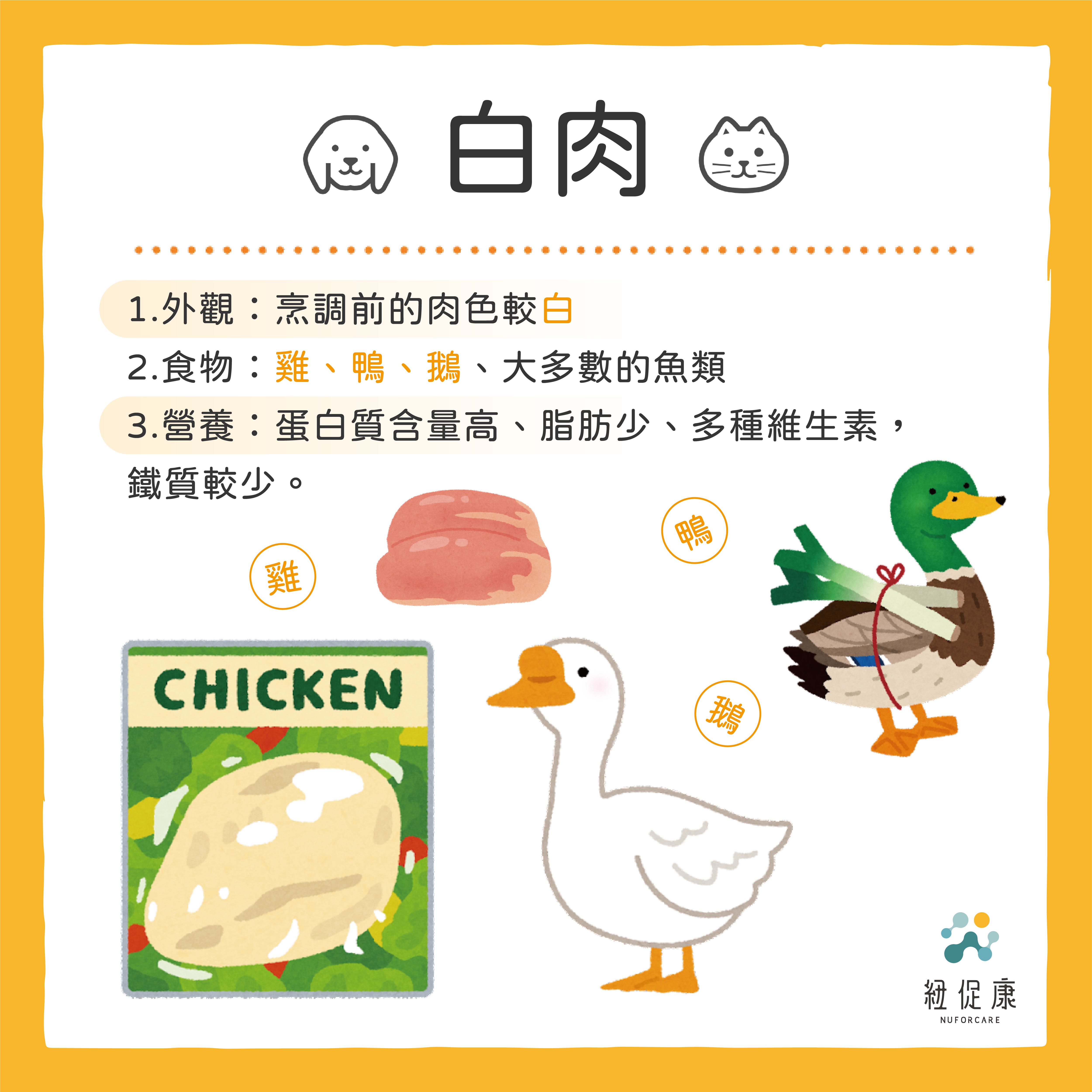 0213 狗狗吃肉怎麼選？-03.jpg
