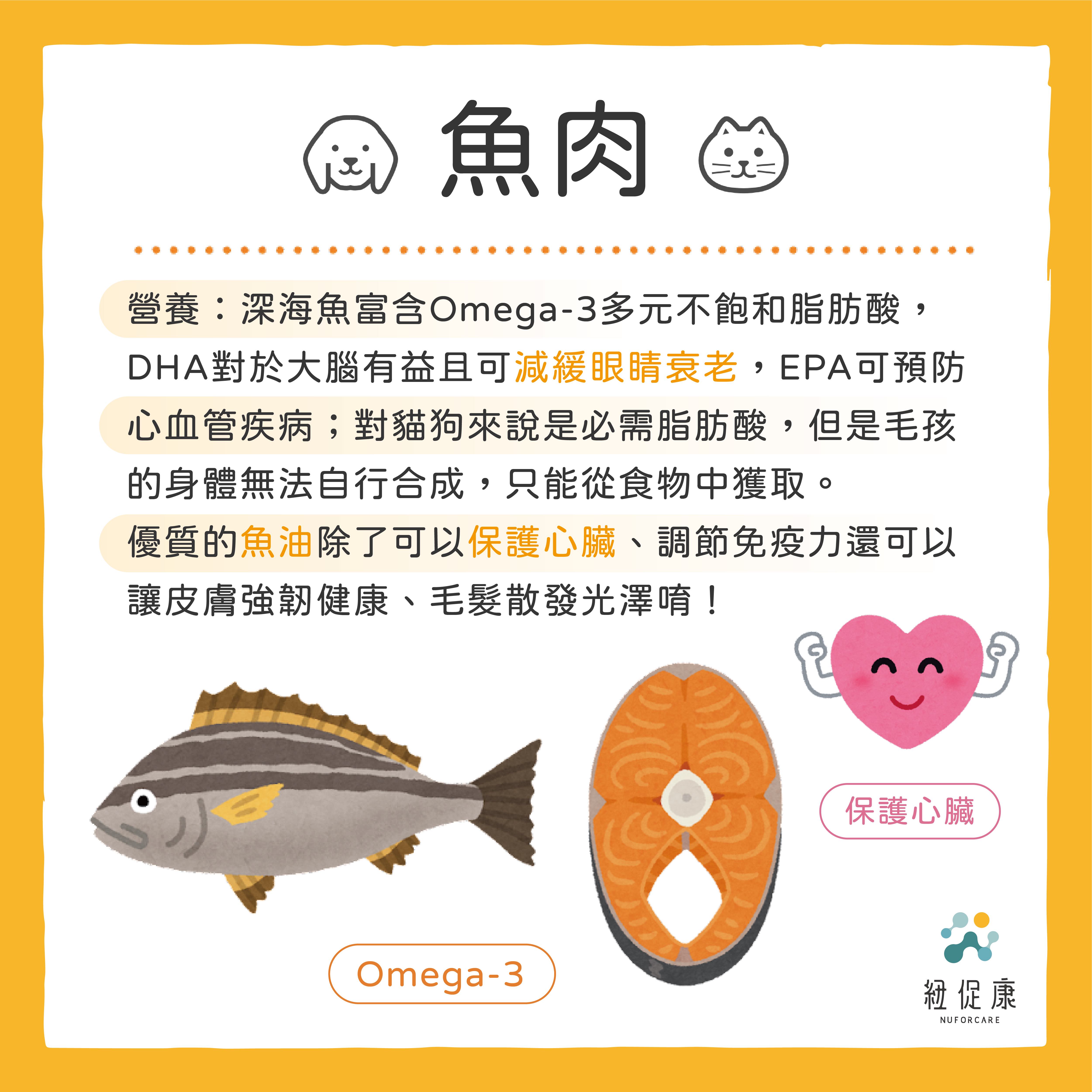 0213 狗狗吃肉怎麼選？-04.jpg