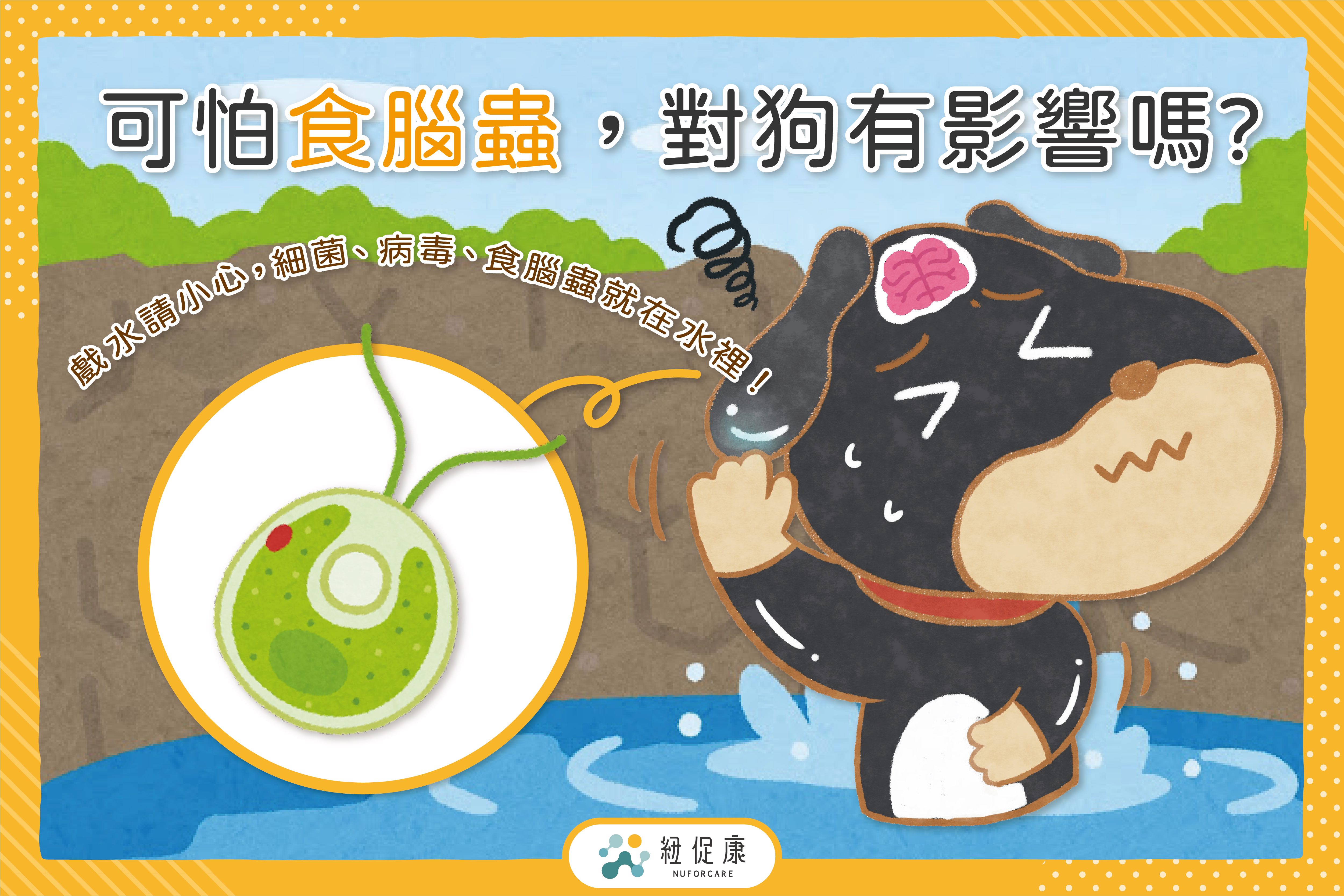 0829-可怕食腦蟲，對狗有影響嗎？.jpg